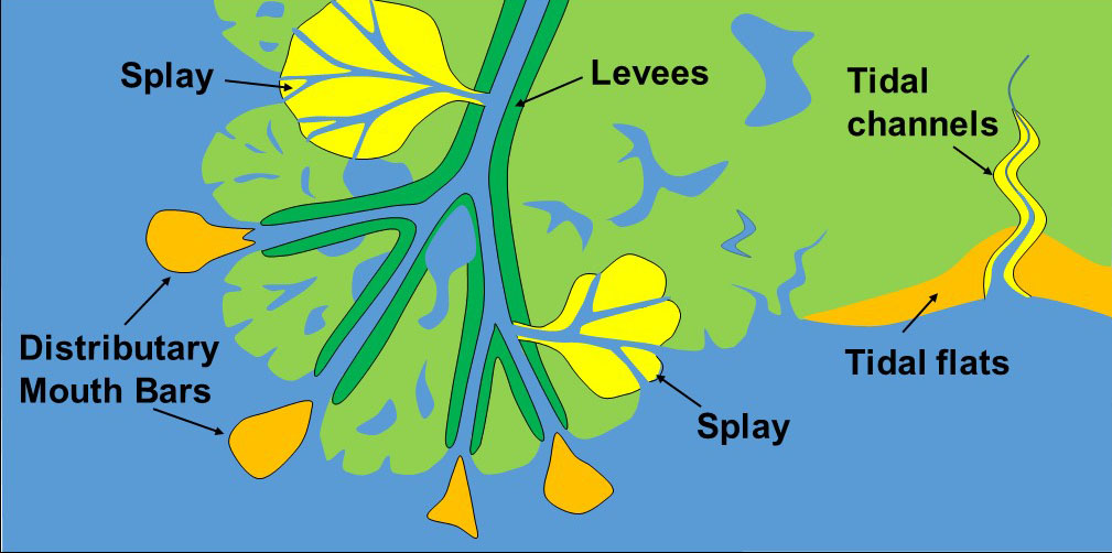 Stackrock conditions can form in a wide variety of coastal depositional environments.
